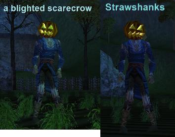 DSH Scarecrows