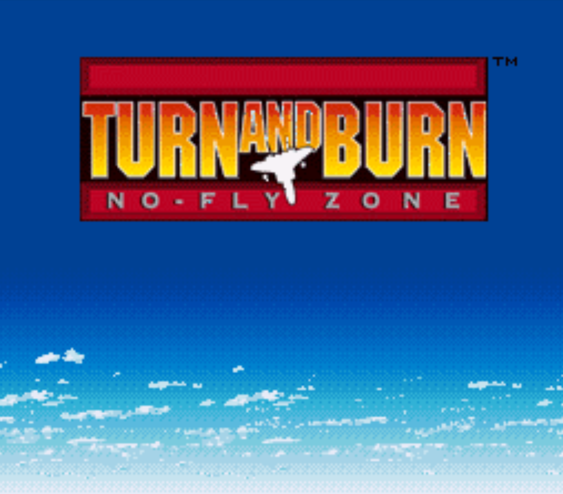 Turn and Burn: No Fly Zone - Super Nintendo 